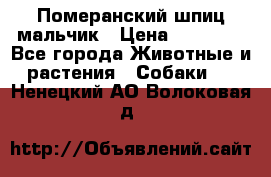 Померанский шпиц мальчик › Цена ­ 30 000 - Все города Животные и растения » Собаки   . Ненецкий АО,Волоковая д.